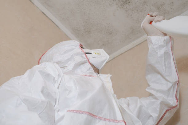 Best Toxic Mold Removal  in Tanque Verde, AZ