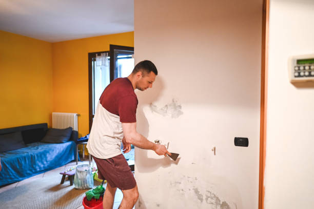 Best Residential Mold Removal  in Tanque Verde, AZ